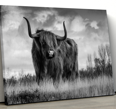 Quadro con animali Bestiame dell'altopiano in bianco e nero - TenStickers