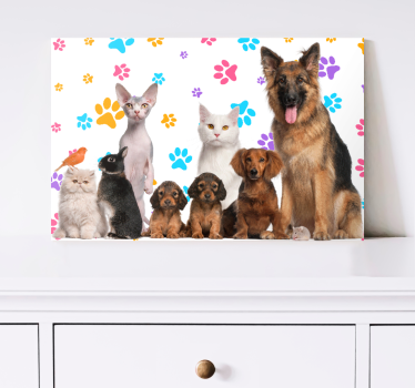 Quadro con animali Cani e gatti - TenStickers