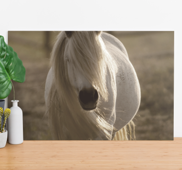 Quadro con animali Cavallo dalla faccia bianca - TenStickers