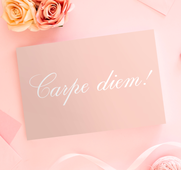 Quadro con frase cogli l'attimo motivazione - TenStickers