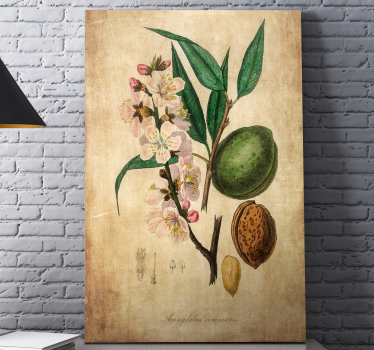 Dipinto fiori e piante illustrazione botanica - TenStickers
