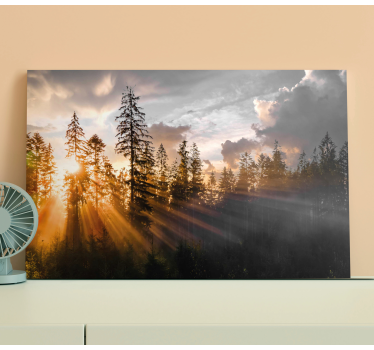Quadro paesaggio Foresta con nebbia e sole - TenStickers