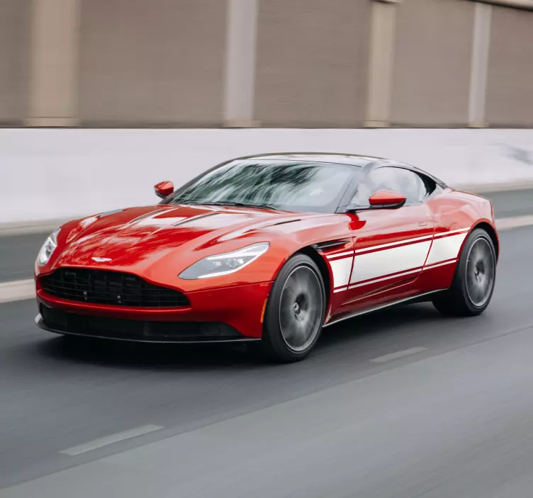 Adesivo per auto con strisce in stile Rally - TenStickers