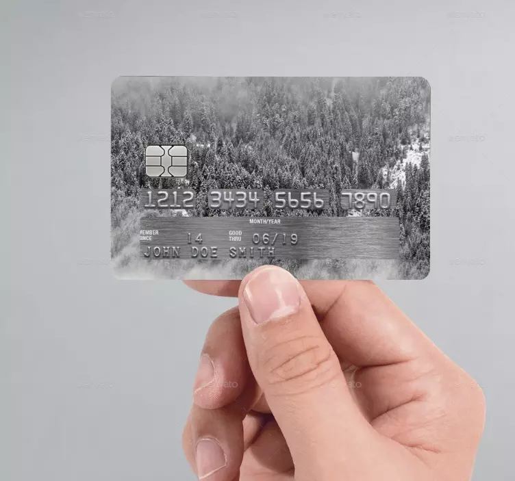 Adesivo carta di credito foresta neve - TenStickers