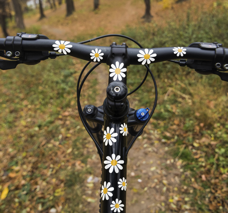 Adesivo per bici Margherite bici fiori - TenStickers