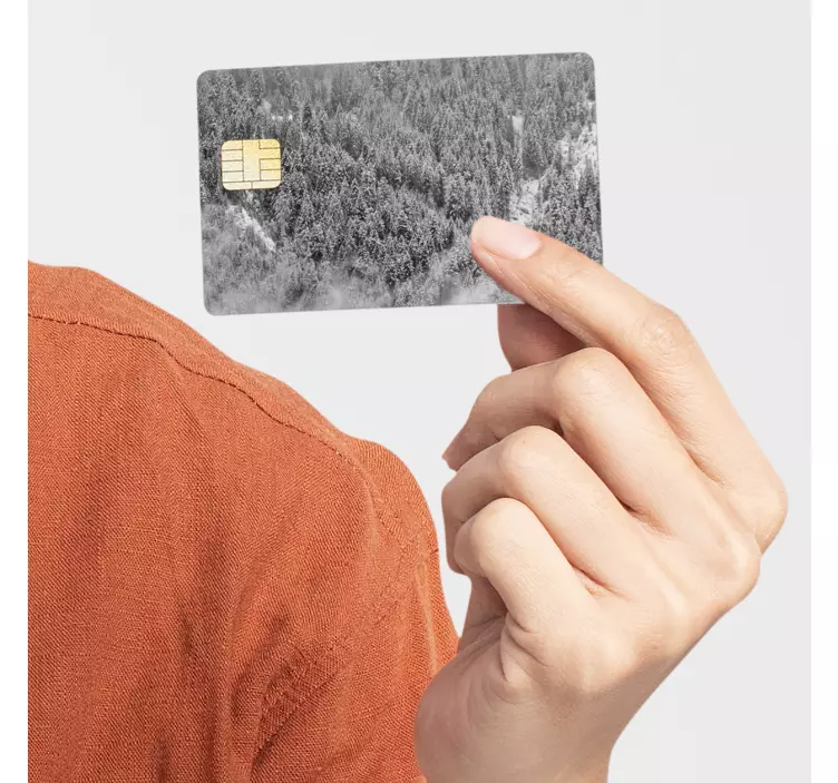 Adesivo carta di credito foresta neve - TenStickers