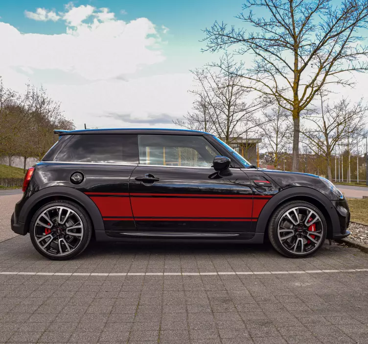 Adesivo per auto con strisce in stile Rally - TenStickers