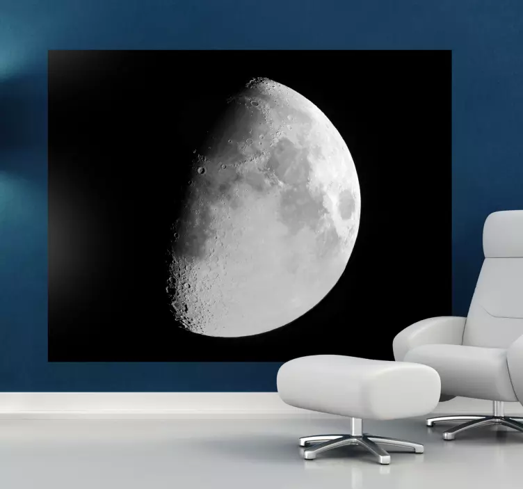 Adesivo murale foto della luna - TenStickers
