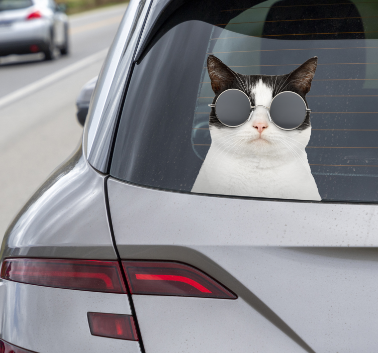 Adesivo per auto gatto con occhiali da sole - TenStickers