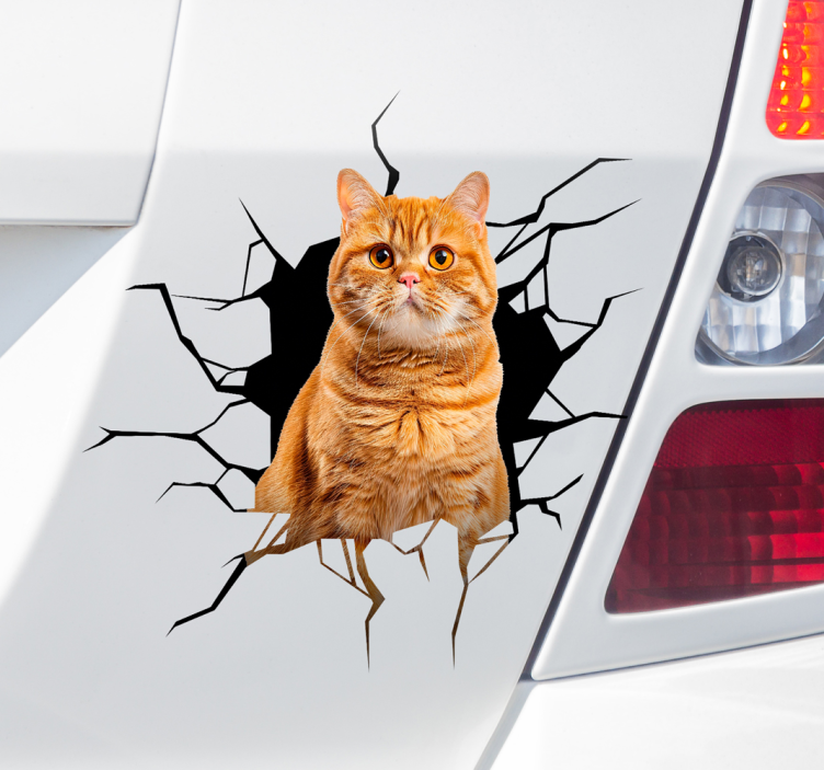 Adesivo per auto gatto in buca - TenStickers