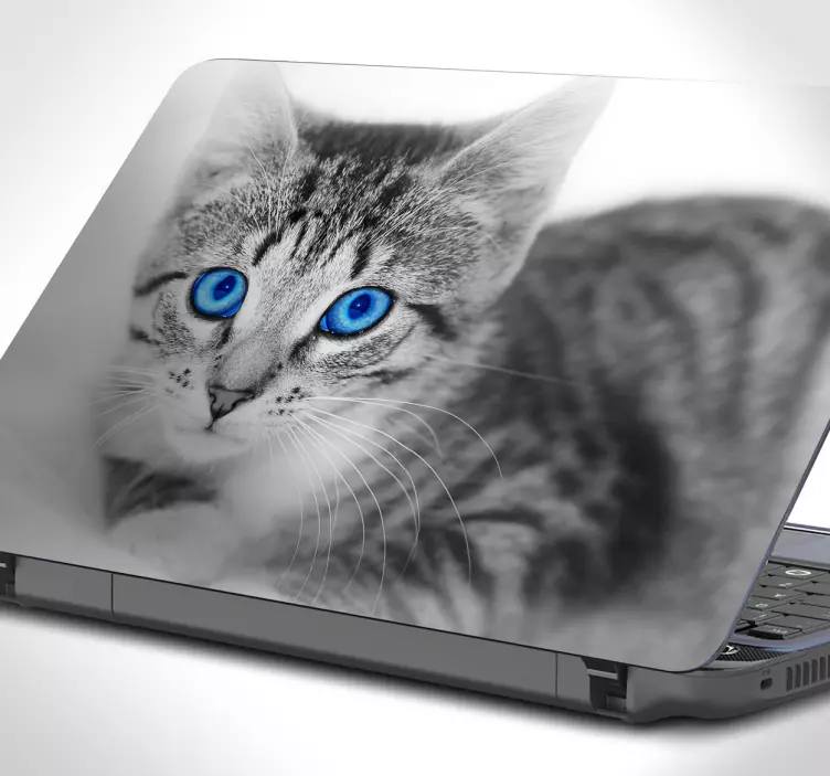 Adesivo per pc gatto per pc - TenStickers