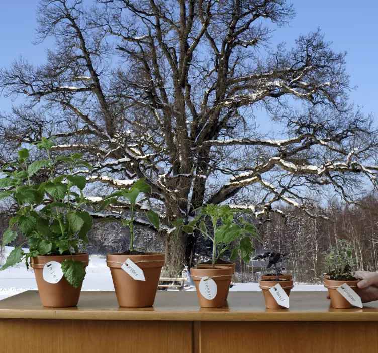 Sticker decorativo albero innevato - TenStickers