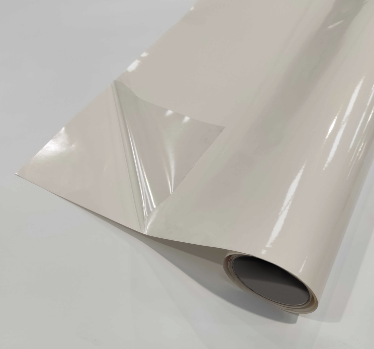 Pellicola adesiva - Trasparente - TenStickers