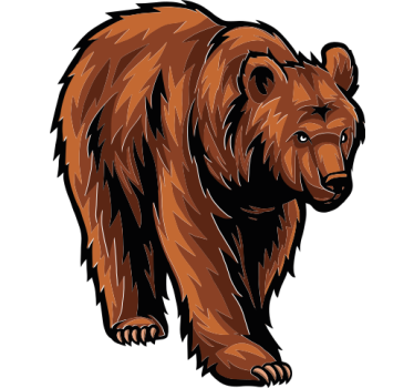 Adesivo per auto illustrazione dell'orso - TenStickers