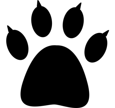 Adesivo per auto tracce di orso - TenStickers