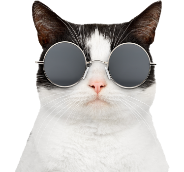 Adesivo per auto gatto con occhiali da sole - TenStickers