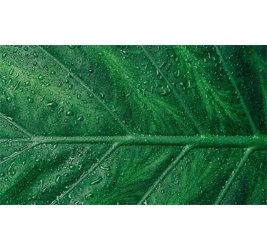 Adesivo tavolo Ikea linnmon texture foglia - TenStickers