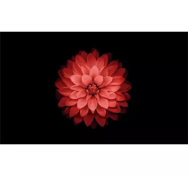 Carta adesiva per mobili tavolo fiore rosso - TenStickers
