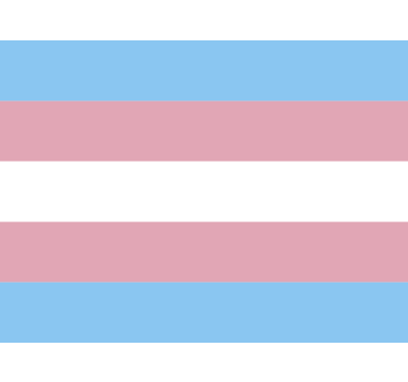 Adesivo per auto bandiera trans - TenStickers