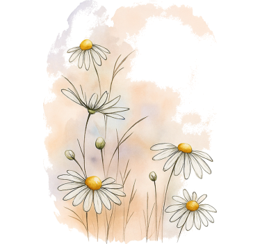 Carta adesiva per mobili fiori di margherita all'acquarello - TenStickers