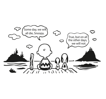 Adesivo per roulotte snoopy e charlie lake - TenStickers