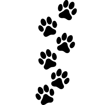 Adesivo per auto set di zampe monocolore - TenStickers