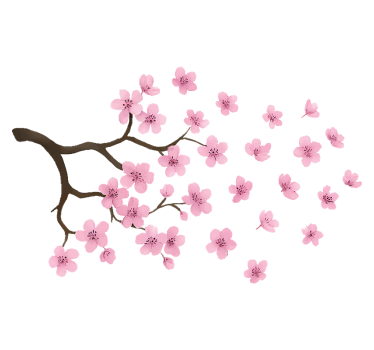 Adesivo per auto fiore di ciliegio rosa - TenStickers