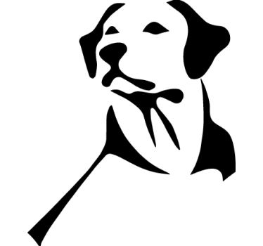 Adesivo per auto con labrador - TenStickers