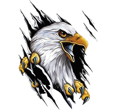 Adesivo per auto artiglio di aquila calva - TenStickers