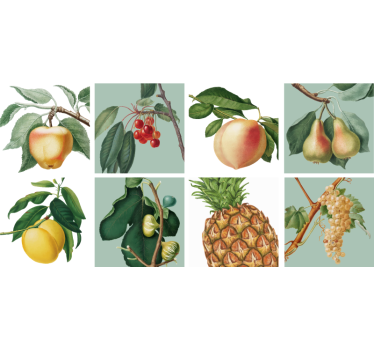 Adesivo cucina da parete con frutta in crescita - TenStickers
