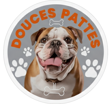 Adesivo per auto bulldog english dolci zampette - TenStickers