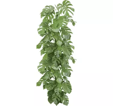 Sticker decorativo evoluzione vegetale - TenStickers