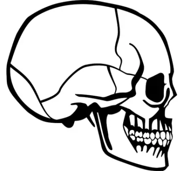 Adesivo pc profilo teschio - TenStickers