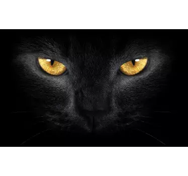 Skin adesiva volto di gatto portatile - TenStickers