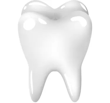 Sticker decorativo dente molare - TenStickers
