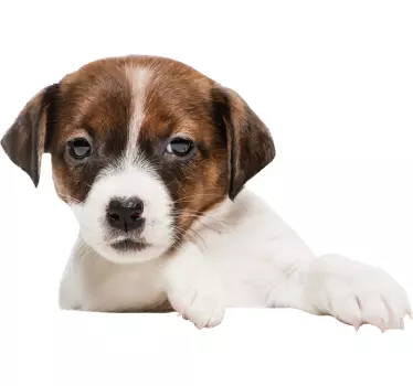 Sticker adesivo con cagnolino - TenStickers