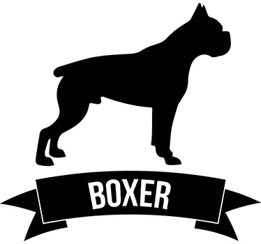 Adesivo cane boxer - TenStickers
