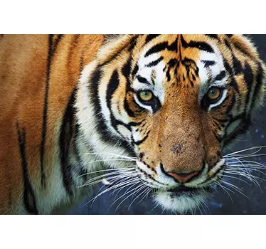 Adesivo per pc tigre - TenStickers