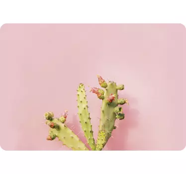 Adesivo per laptop con cactus - TenStickers