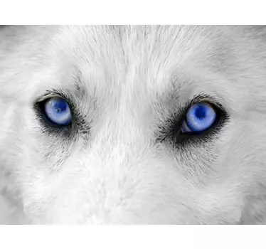 Skin adesiva pc occhi di lupo - TenStickers