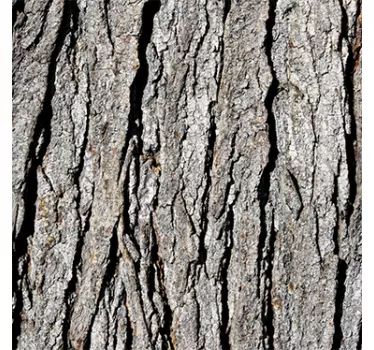 Adesivo albero LACK - TenStickers