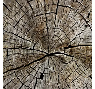 Adesivo tronco albero LACK - TenStickers