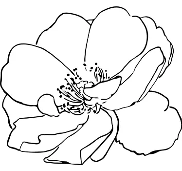 Sticker decorativo fiore nascente - TenStickers