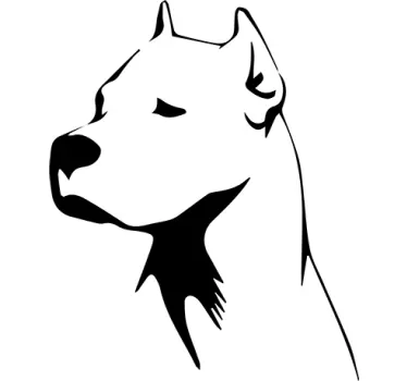 Adesivo murale Dogo Argentino - TenStickers