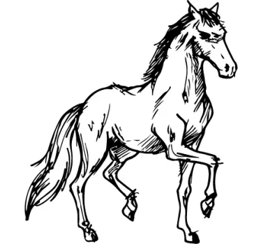 Wall sticker schizzo cavallo - TenStickers