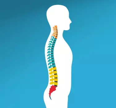 Adesivo colonna vertebrale - TenStickers