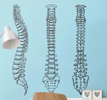 Adesivo decorativo colonna vertebrale - TenStickers
