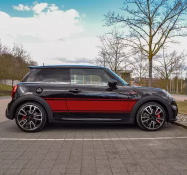 Adesivi auto strisce stile Rally - TenStickers