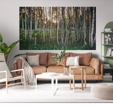 Adesivo fotomurale con alberi di betulle - TenStickers