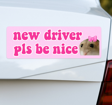 Adesivo per auto nuovo conducente sii gentile - TenStickers